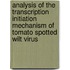 Analysis of the transcription initiation mechanism of Tomato spotted wilt virus