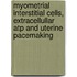 Myometrial Interstitial Cells, Extracellullar Atp And Uterine Pacemaking