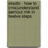 Elastic - how to (mis)understand Aernout Mik in twelve steps