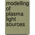 Modelling of plasma light sources