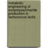 Metabolic engineering of exopolysaccharide production in Lactococcus lactis by I.C. Boels