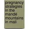 Pregnancy Strategies in the Mandé Mountains in Mali door L. Holten