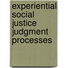 Experiential Social Justice Judgment Processes door Michel Maas