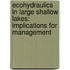 Ecohydraulics in large shallow lakes: implications for management