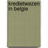 Kredietwezen in Belgie