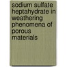 Sodium sulfate heptahydrate in weathering phenomena of porous materials door T.A. Saidov