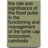 The role and significance of the flood pulse in the functioning and management of the tonle cap ecosystem, Cambodia by Dirk Lamberts