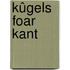 Kûgels foar Kant