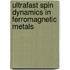 Ultrafast spin dynamics in ferromagnetic metals