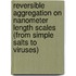 Reversible aggregation on nanometer length scales (from simple salts to viruses)