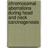 Chromosomal aberrations during head and neck carcinogenesis