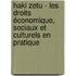 Haki Zetu - Les droits économique, sociaux et culturels en pratique