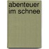 Abenteuer im Schnee