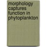 Morphology captures function in phytoplankton door C.C. Kruk Gencarelli