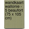 Wandkaart Wallonie - 5 Beaufort (75 x 105 cm) door Eddy Tant
