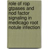 Role Of Rop Gtpases And Nod Factor Signaling In Medicago Root Notule Infection by R. Mirabella