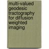 Multi-valued geodesic tractography for diffusion weighted imaging door N. Sepasian