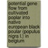 Potential gene flow from cultivated poplar into native European black poular (populus nigra L.) in Belgium