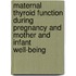 Maternal thyroid function during pregnancy and mother and infant well-being