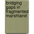 Bridging gaps in fragmented marshland