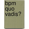 Bpm Quo Vadis? door Stijn Viaene