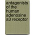 Antagonists of the human adenosine A3 receptor