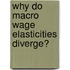 Why do macro wage elasticities diverge?