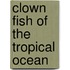 Clown Fish of the Tropical Ocean