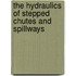 The Hydraulics of Stepped Chutes and Spillways