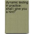 Dynamic Testing in Practice: Shall I give you a hint?