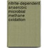Nitrite-dependent anaerobic microbial methane oxidation