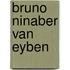 Bruno Ninaber van Eyben