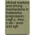 Clinical Markers And Driving Mechanisms In Melanoma Progression: Vegf-c, Rhoc, C-ski / Snon And Egfr