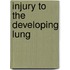 Injury to the Developing Lung