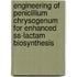 Engineering of Penicillium chrysogenum for enhanced ss-lactam biosynthesis