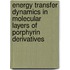 Energy transfer dynamics in molecular layers of porphyrin derivatives