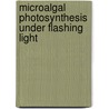 Microalgal photosynthesis under flashing light door Carsten Vejrazka