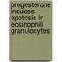 Progesterone induces apotosis in eosinophili granulocytes
