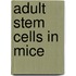 Adult Stem Cells in Mice