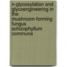 N-glycosylation and glycoengineering in the mushroom-forming fungus schizophyllum commune by E. Berends