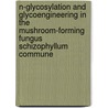 N-glycosylation and glycoengineering in the mushroom-forming fungus schizophyllum commune door E. Berends