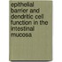 Epithelial barrier and dendritic cell function in the intestinal mucosa