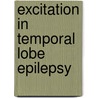 Excitation In Temporal Lobe Epilepsy door W.S. van der Hel