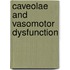 Caveolae and vasomotor dysfunction