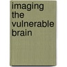 Imaging the vulnerable brain door S. Vegetti