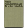 Matrix metalloproteinase 14 in the zebrafish by Els Janssens