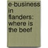 E-business in Flanders: where is the beef