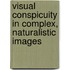 Visual Conspicuity in complex, naturalistic images