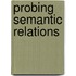 Probing semantic relations