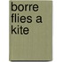 Borre flies a kite